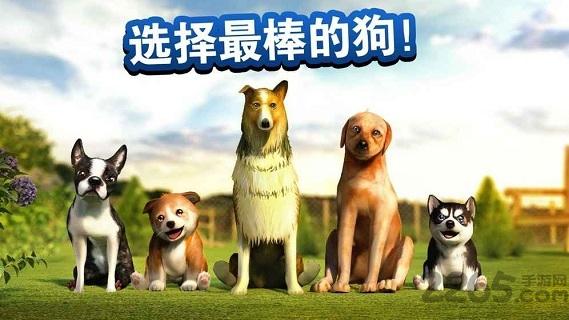 模拟狗狗中文正式版下载,模拟狗狗,养狗游戏,宠物游戏