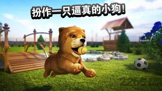 模拟狗狗中文正式版下载,模拟狗狗,养狗游戏,宠物游戏